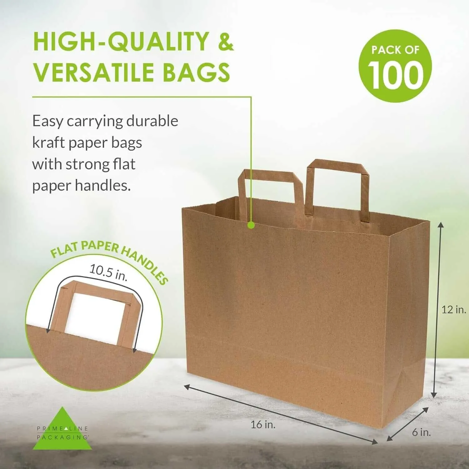 16x6x12 Large Flat Handle Paper Bags