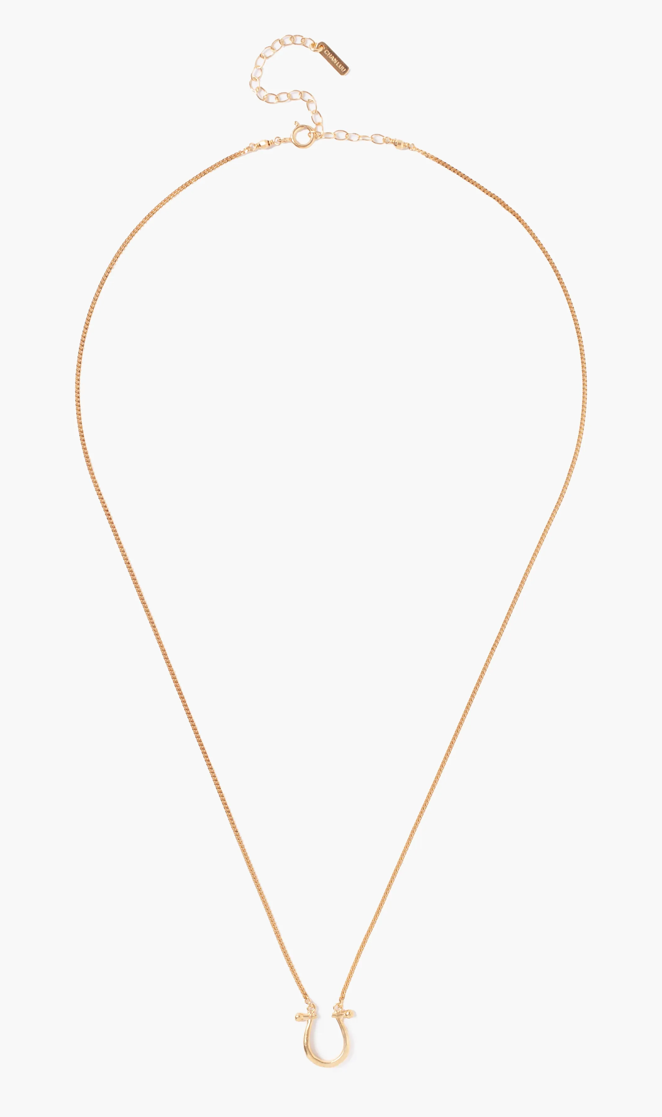 Horseshoe Necklace Yellow Gold